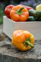 Wooden box with fresh vegetables (tomato, cucumber, bell pepper)