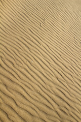 Waves of sand