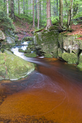 Górski strumień © Patryk Michalski