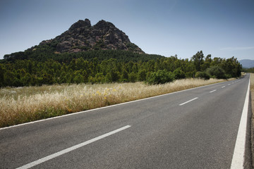 Strada asfaltata in campagna