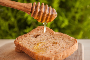 toasted bread with honey and honey dipper in nature background