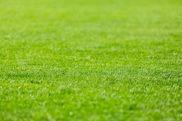 Soccer Field, Lawn, Grass. © BillionPhotos.com