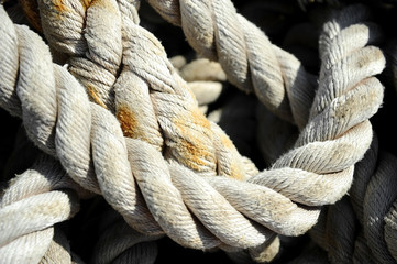 Weathered big sea ropes
