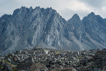 Fototapeta na wymiar Tunkinskie loaches in the Eastern Sayan Mountains