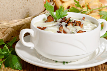 Cream soup with chanterelle mushrooms - obrazy, fototapety, plakaty