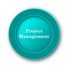 Project management icon