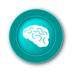 Brain icon