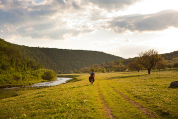 mountain biker rides in field of yellow flowers