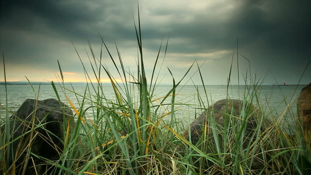 Sea by sunset with reeds in the foreground