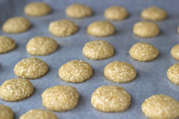 Homemade sesame seed cookies on sheet before oven