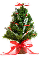 Holiday Money Tree
