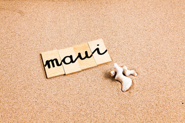 Words formed from small pieces of wood containing a sun and beach tourist destination, Maui