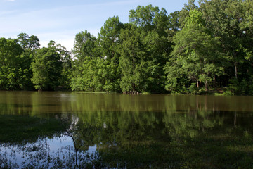 Fototapeta na wymiar Mayes Lake at LeFleur's Bluff State Park in Jackson, Mississippi