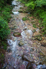 river scene of Golden Whip Stream touring line,Zhangjiajie Natio