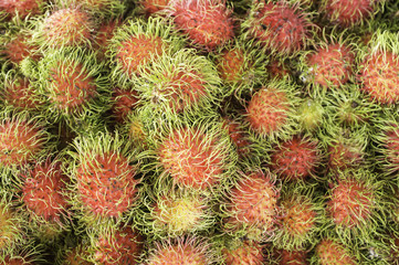 Obraz premium rambutan.