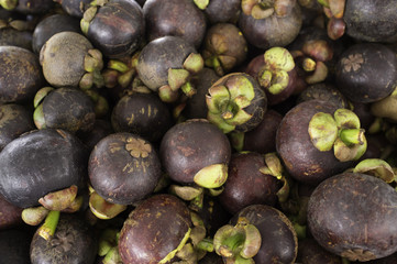 mangosteen