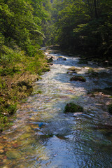 river scene of Golden Whip Stream touring line,Zhangjiajie Natio