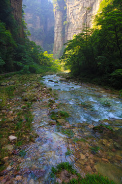 river scene of Golden Whip Stream touring line,Zhangjiajie Natio