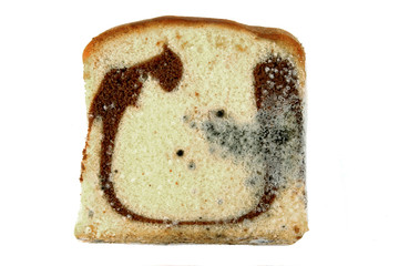 Moldy sliced bread loaf over a white background.