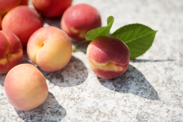 fresh apricots