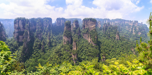 scene of rock mountain in Zhangjiajie National Forest Park,Hunan