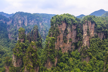 Fototapeta na wymiar scene of rock mountain in Zhangjiajie National Forest Park,Hunan