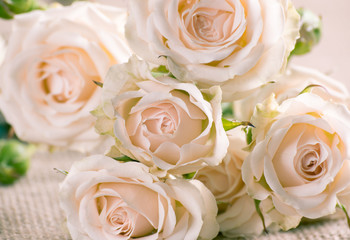 Cream roses on sackcloth