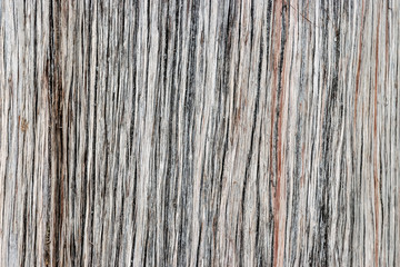 wood texture