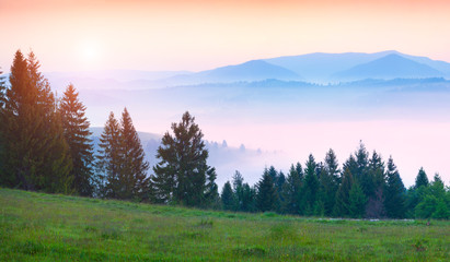 Fototapeta na wymiar Colorful summer morning in the foggy Carpathian mountains