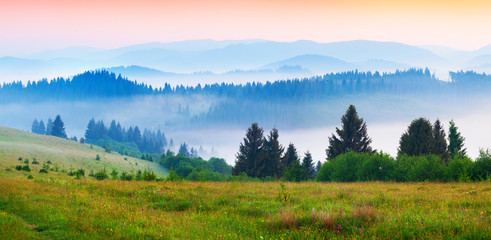 Naklejka na ściany i meble Colorful summer panorama of the foggy Carpathian mountains