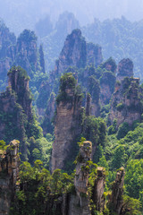 Fototapeta premium scene of rock mountain in Zhangjiajie National Forest Park,Hunan