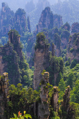 Fototapeta premium scene of rock mountain in Zhangjiajie National Forest Park,Hunan
