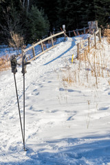 Gloves on ski poles at a winter trail