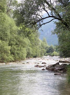 wild landscape with mountain stream and trees