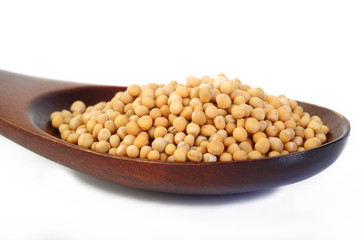 mustard seeds in wooden spoon