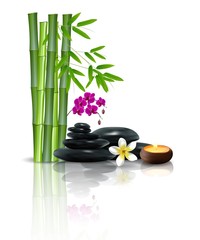 Bamboo, flowers, stone and wax isolated background
