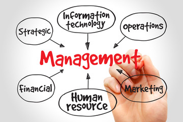 Management mind map business strategy concept