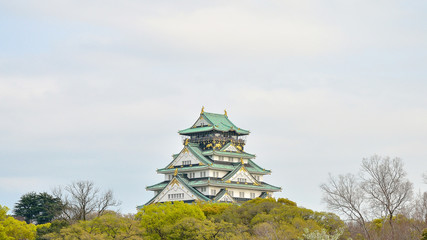 Naklejka premium Osaka castle and tree foreground in japan