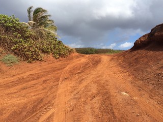 Molokai red dirt road