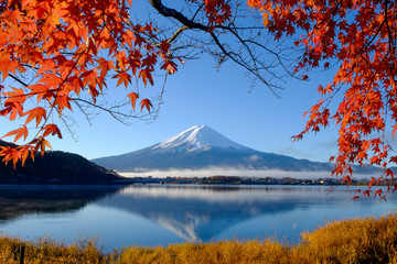 Fototapeta premium Mt.Fuji and autumn foliage at Lake Kawaguchi