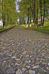 Cobblestone street