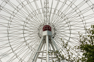 Obraz premium Observation Ferris Wheel in park