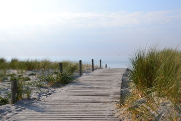 Stranddünen - beach dunes