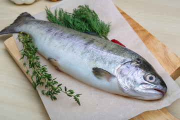 Raw trout
