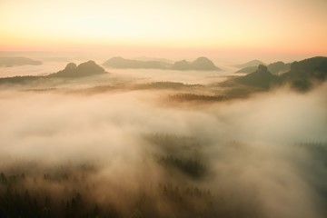 Naklejka na ściany i meble View into long deep valley full of fresh spring mist. Landscape within daybreak after rainy night
