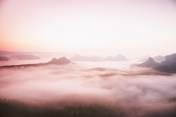 Misty melancholic morning. View into long deep valley full of fresh  spring mist. Landscape within...