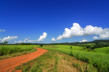 Road and Green grass field.