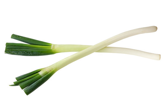 Huge stalks of fresh Japanese Leeks (Negi) on white background