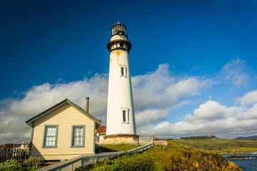 Fototapeta na wymiar Piegon Point Lighthouse, in Pescadero, California.