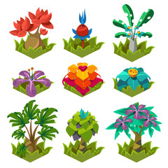 Garden Plants with Flowers for Game